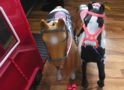 OG 2 HORSES HEAD